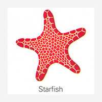 Fridge magnet Starfish