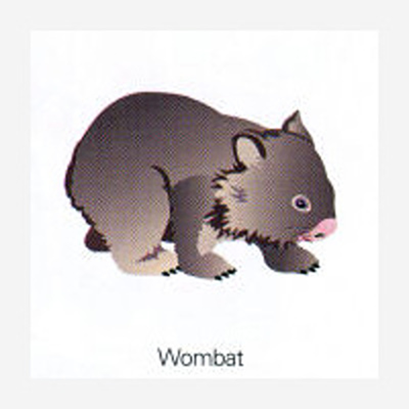 Fridge magnet Wombat)